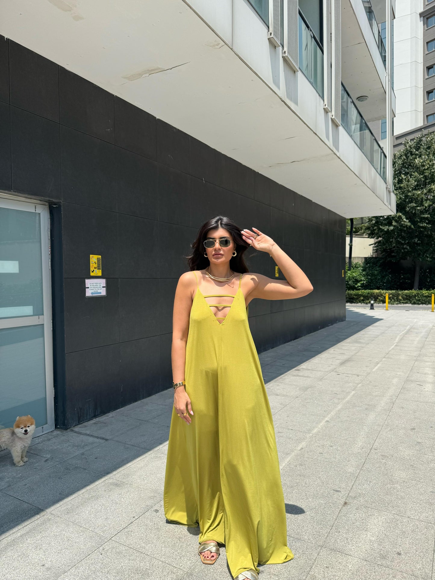 Sırtı Açık-Yaka Önü Biyeli Maxi Boy Elbise | Sarı